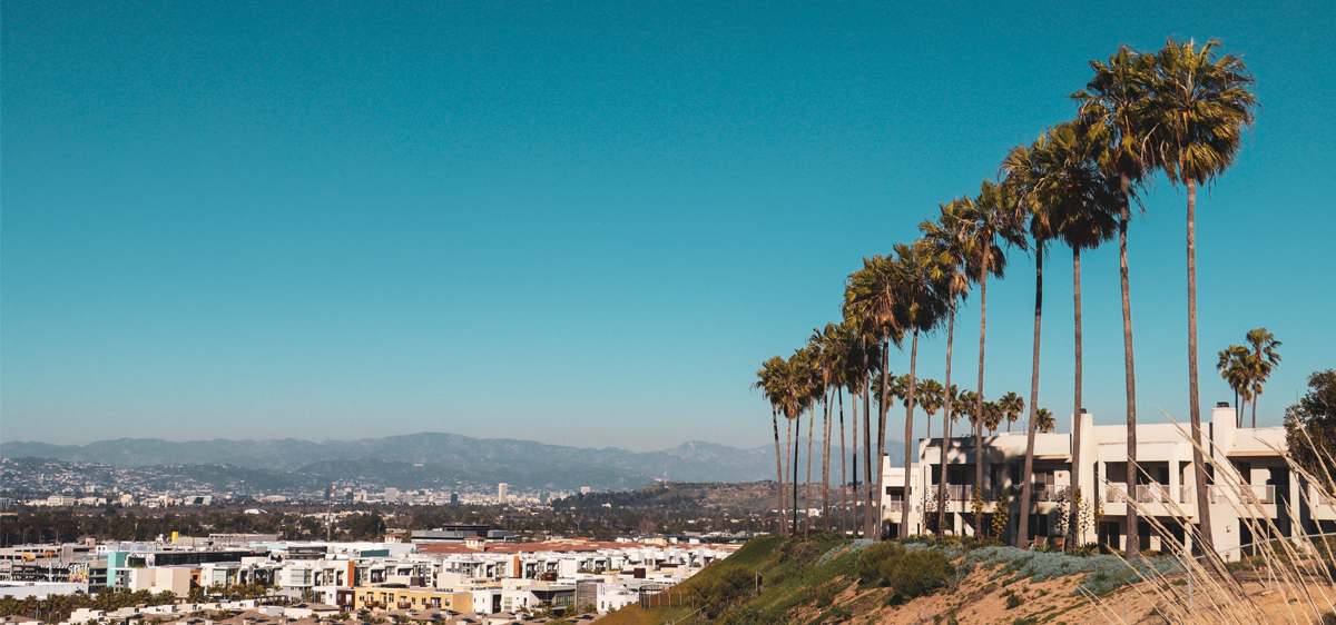 A view of the LMU Bluff with the Jesuit community and palm trees on the right, lots of blue sky, and Playa Vista down below the bluff on the left.